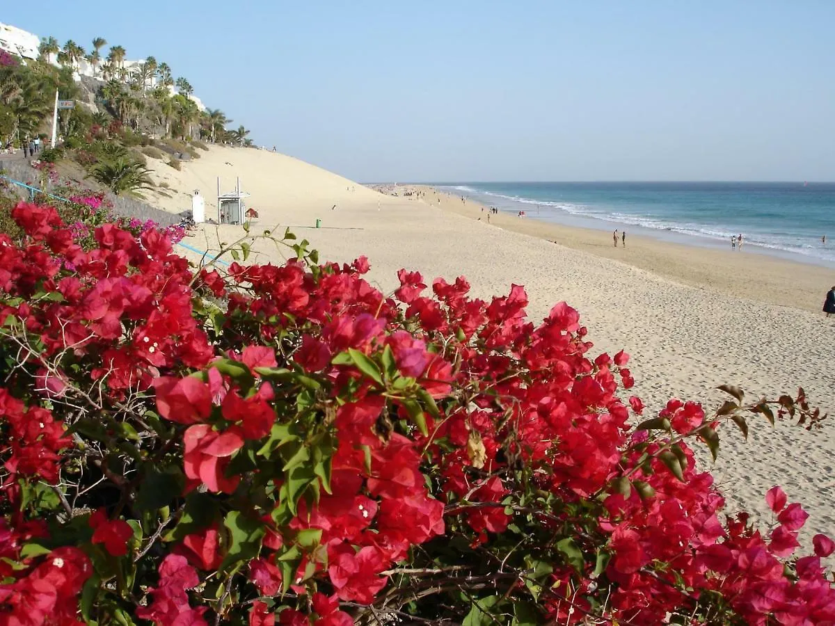Casa Ricardo Paradise Apartment Morro Jable  Morro Jable (Fuerteventura)